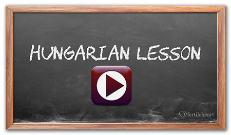 Hungarian Lesson Video